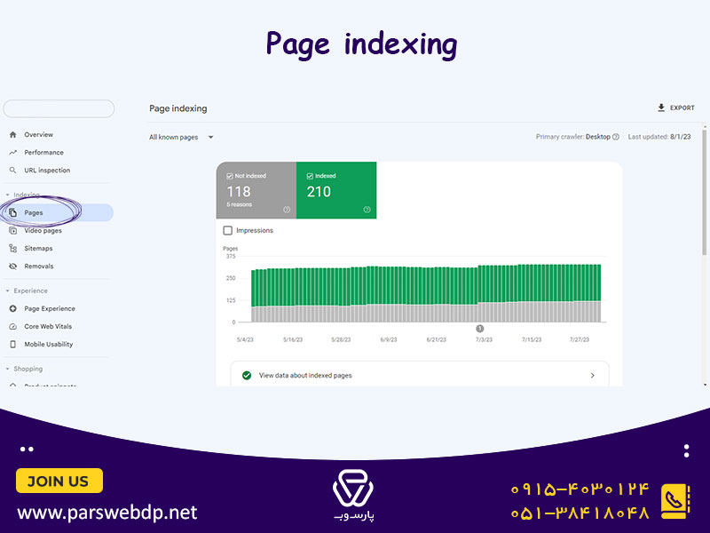 گزارش ایندکس صفحات (Page Indexing)
